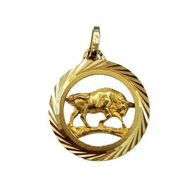 Occasions by Marleen Occasions by Marleen - 14 karaats - Gouden sterrenbeeld - Bewerkte rand - Stier