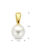 Gouden hanger - 14 karaats - Zoetwaterparel