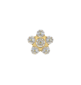 Studex Studex schietknopjes - Verguld - Daisy Zirkonia Kristal - 7512-6213 (153)