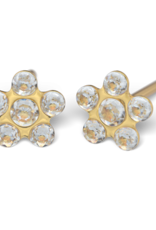 Studex Studex schietknopjes - Verguld - Daisy Zirkonia Kristal - 7512-6213 (153)