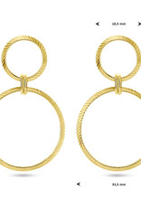 Zilveren verguld oorhangers