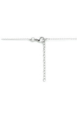 Zilveren collier - Gerhodineerd - Rondje - 41 + 4 cm