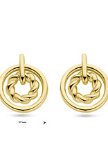 Zilver verguld - Oorknoppen