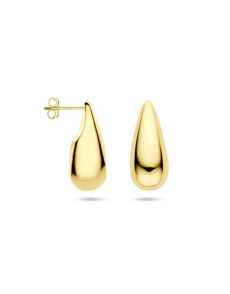 Zilver verguld - Oorknoppen