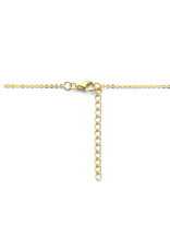 Verguld zilver collier - Veertjes - 40-44 cm