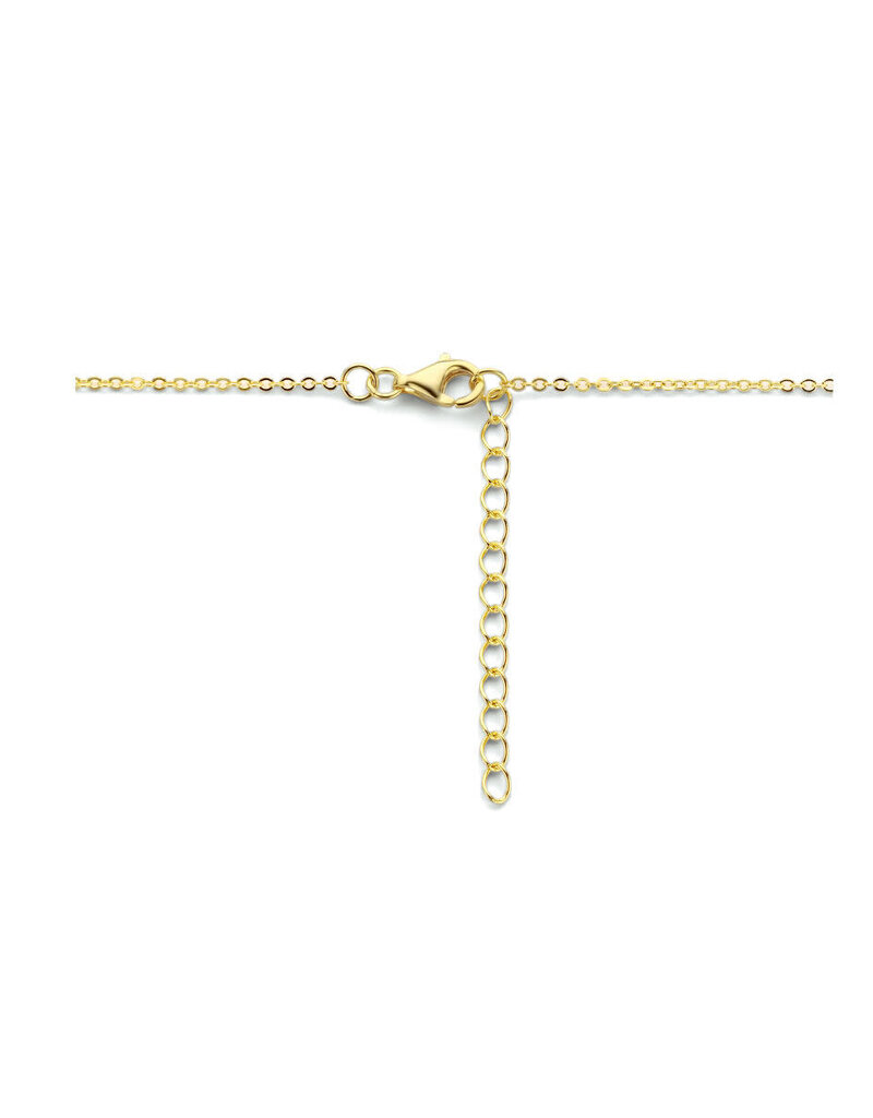 Verguld zilver collier - Veertjes - 40-44 cm