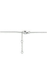 Zilveren collier - Gerhodineerd - Plaatje ovaal - 40 - 42 - 44 cm