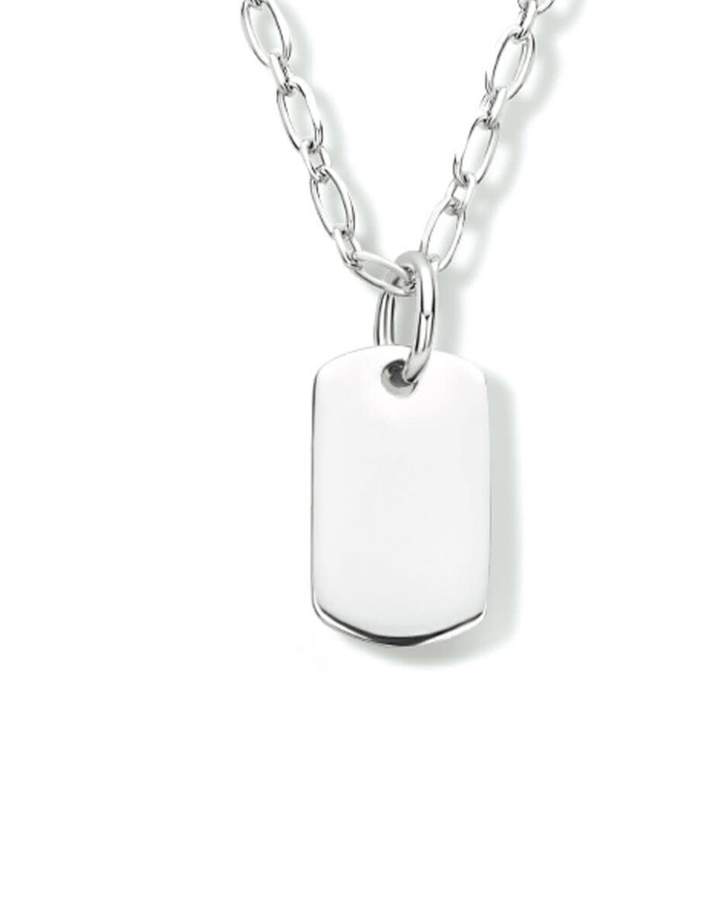 Zilveren collier - Gerhodineerd - Plaatje  - 41/45 cm