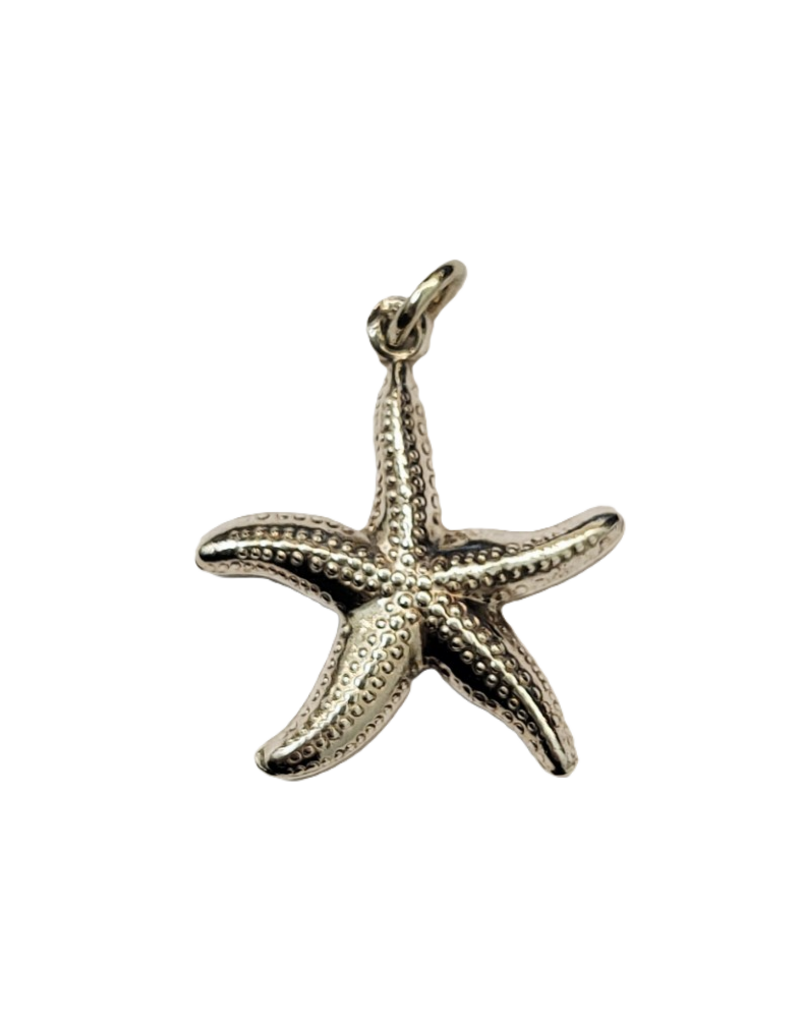 Occasions by Marleen Occasions by Marleen - Zilveren bedel - Zeester