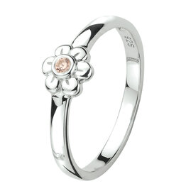 Zilveren ring - Gerhodineerd - Maat 15