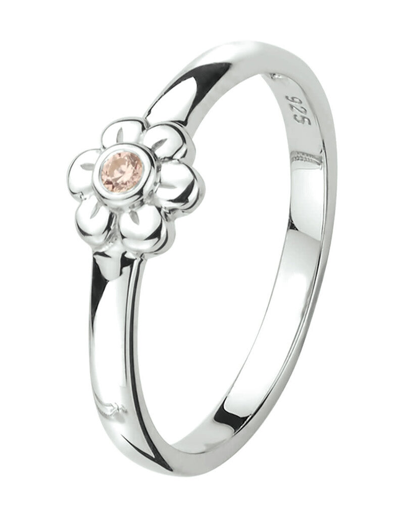 Zilveren kinderring - Gerhodineerd - Maat 15