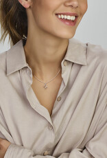 Zilveren hanger - Gerhodineerd - Paard