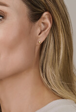 Gouden oorknoppen - 14 karaats - 5.0 mm - Gediamanteerd