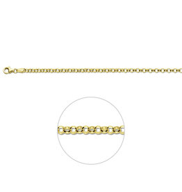 Gouden armband - 14 karaats  - Jasseron - 3.3 mm - 19 cm