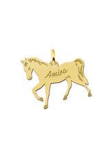 Gouden hanger 14 karaats - Paard met gravure