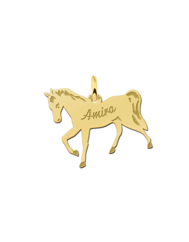 Gouden hanger 14 karaats - Paard met gravure