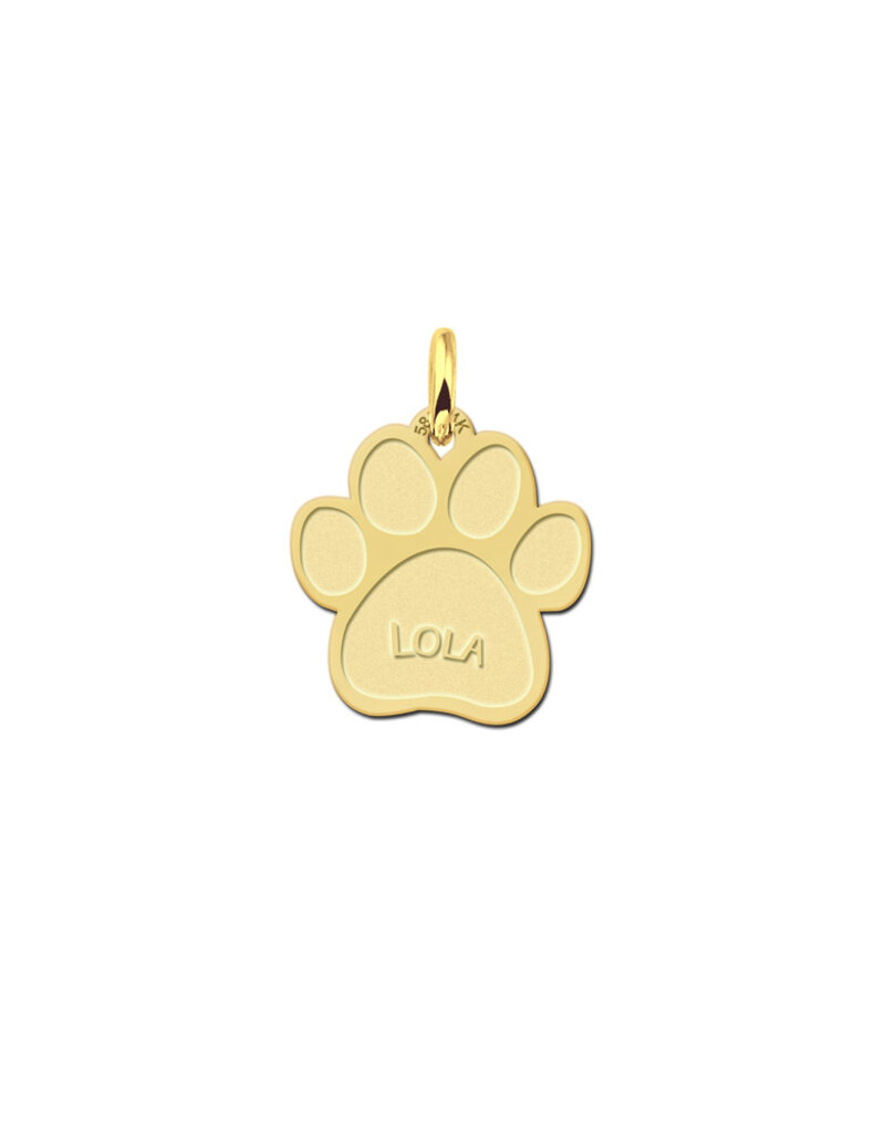Gouden hanger - Pootje met naam