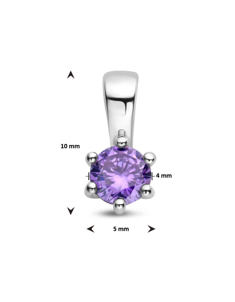 Zilveren hanger - Zirkonia -  Geboortesteen - 10 mm - Februari