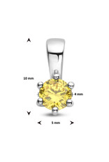 Zilveren hanger - Zirkonia -  Geboortesteen - 10 mm - November