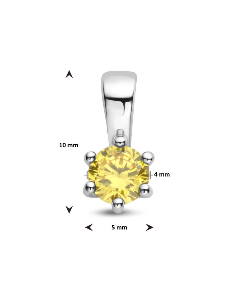 Zilveren hanger - Zirkonia -  Geboortesteen - 10 mm - November