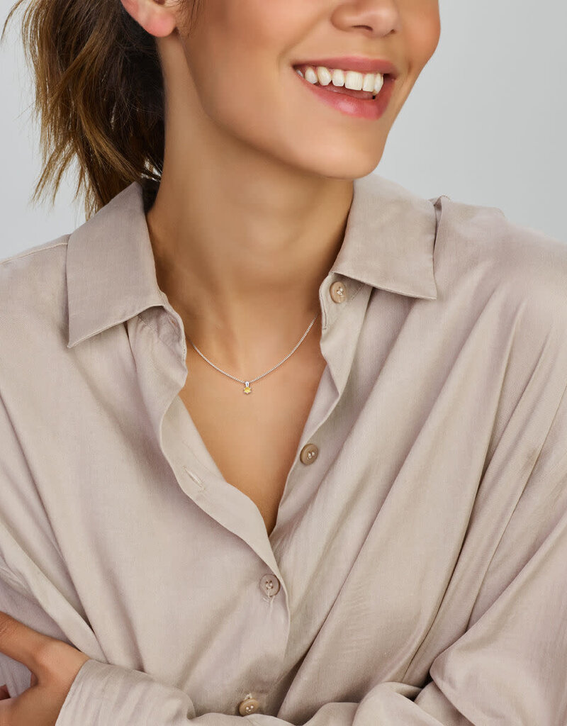 Zilveren hanger - Zirkonia -  Geboortesteen - 10 mm - November