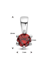 Zilveren hanger - Zirkonia -  Geboortesteen - 10 mm - Januari