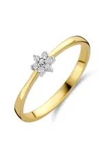Bernstein Gouden ring - 14 karaats - Briljant - 0.060 crt - Maat 18