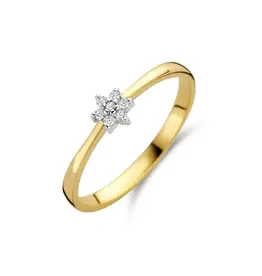 Bernstein Gouden ring - 14 karaats - Briljant - 0.060 crt - Maat 18