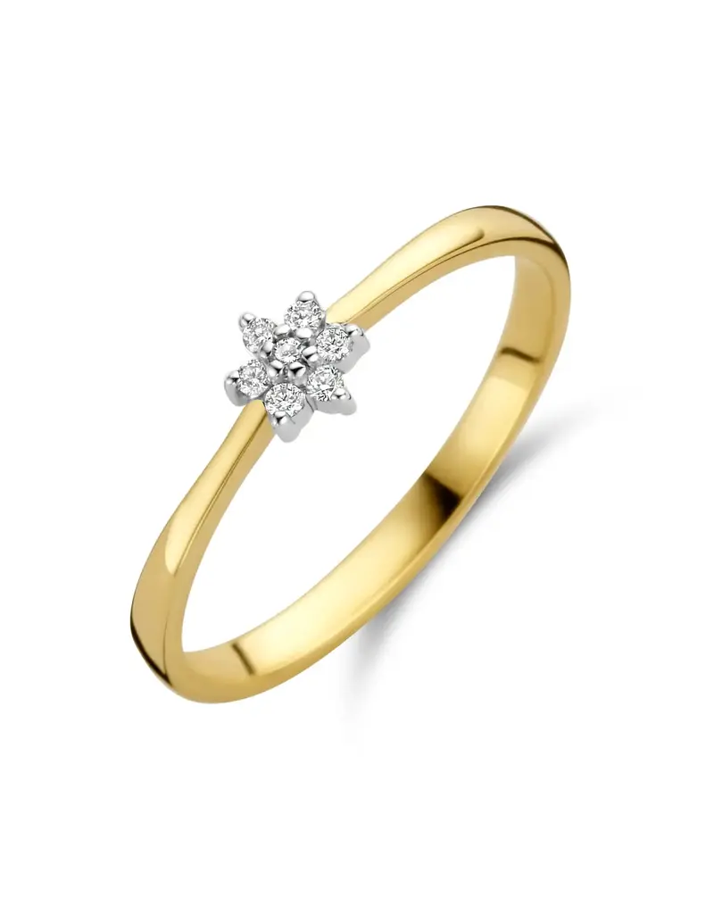 Bernstein Gouden ring - 14 karaats - Briljant - 0.060 crt - Maat 18