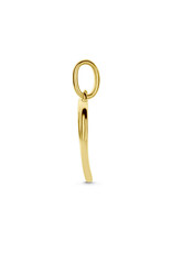 Gouden hanger - 14 karaats - Hartjes - Zirkonia