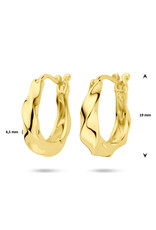 Zilver verguld - Oorringen - 19 mm - Gedraaid