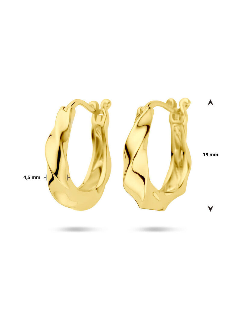 Zilver verguld - Oorringen - 19 mm - Gedraaid