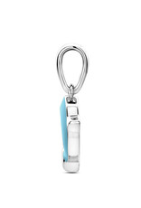 Zilveren hanger - Emaille dolfijn blauw - 17 mm