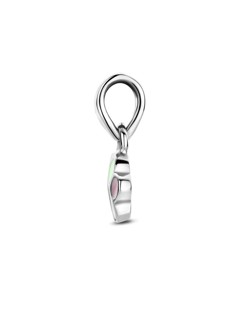 Zilveren hanger - Emaille - Hondenpoot