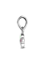Zilveren hanger - Emaille - Hondenpoot