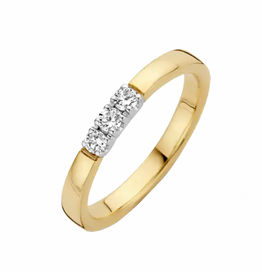 Gouden Memoire ring - 14 karaats - Geel - Briljant - 3x0.09 crt - H/Si - Maat 17