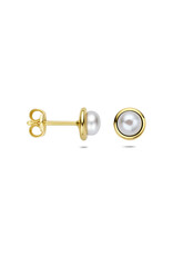 Gouden oorknoppen - 14 karaats - Zoetwaterparel - 6 mm