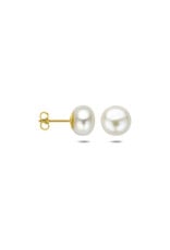 Gouden oorknoppen - 14 karaats - Zoetwaterparels - 5.5 mm