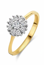 Gouden ring - 14 karaats - Entourage - Briljant - 0.25crt - Maat 17.5