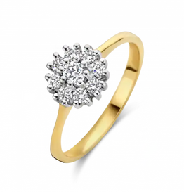 Briljant Gouden ring - 14 karaats - Entourage - Briljant - 0.25crt - Maat 17.5