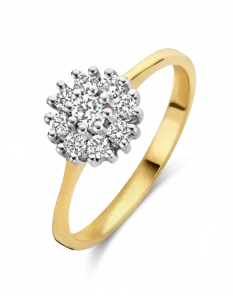 Gouden ring - 14 karaats - Entourage - Briljant - 0.25crt - Maat 17.5