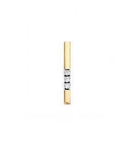 Briljant Gouden hanger - 14 karaats - Memoire - Briljant - 0.09 crt
