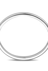 Zilveren bangle - Gerhodineerd - Bolle buis - Scharnier - 6 mm - 60 mm