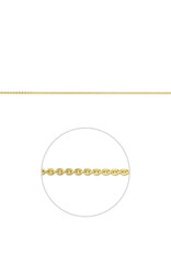 Gouden lengtecollier - 14 karaats - Anker - 1.2 mm - 41/43/45 cm