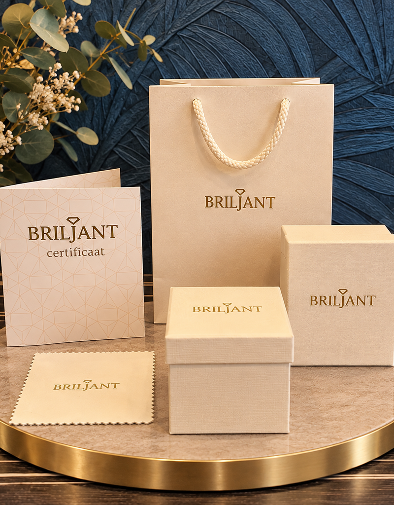 Briljant Gouden ring - 14 karaats - Memoire - Briljant - 0.09 crt - Maat 17.5