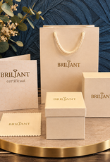 Briljant Gouden ring - 14 karaats - Memoire - Briljant - 0.27 crt - Maat 17