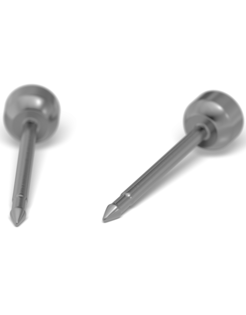 Studex Studex schietknopjes - Titanium Zirkonia 2 mm - 7533-0204 (505)