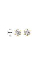 Gouden chaton oorknoppen - 14 karaats - Zirkonia - 4 mm