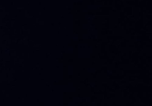 De Stoffenkamer Effen sweaterstof Zwart