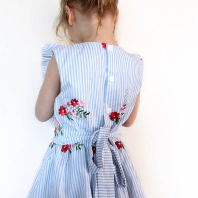 Iris May Robin Dress